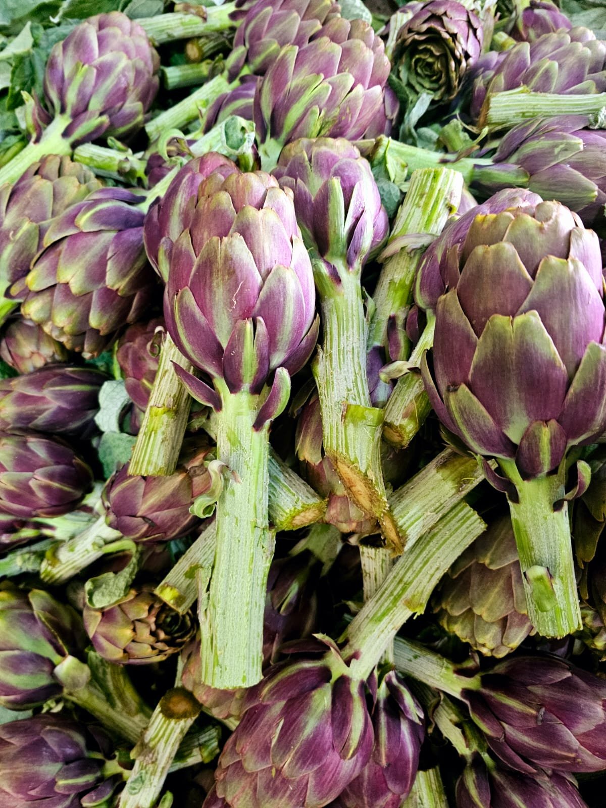 Fresh Produce