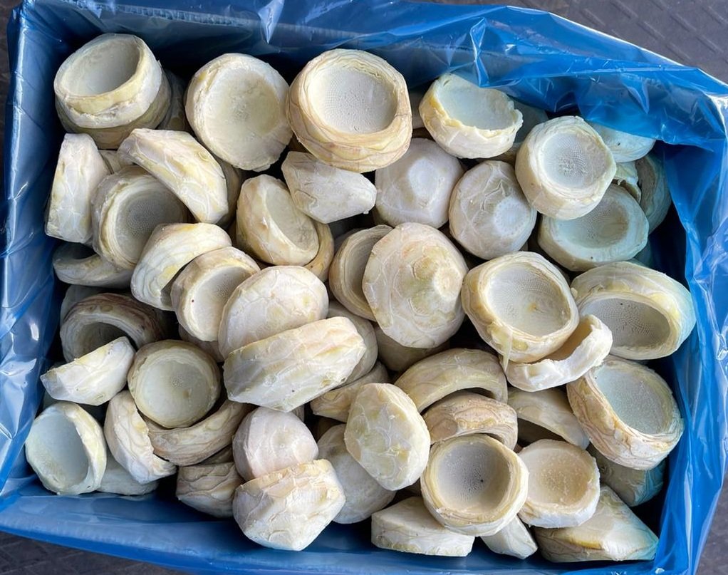 IQF Frozen Vegetables