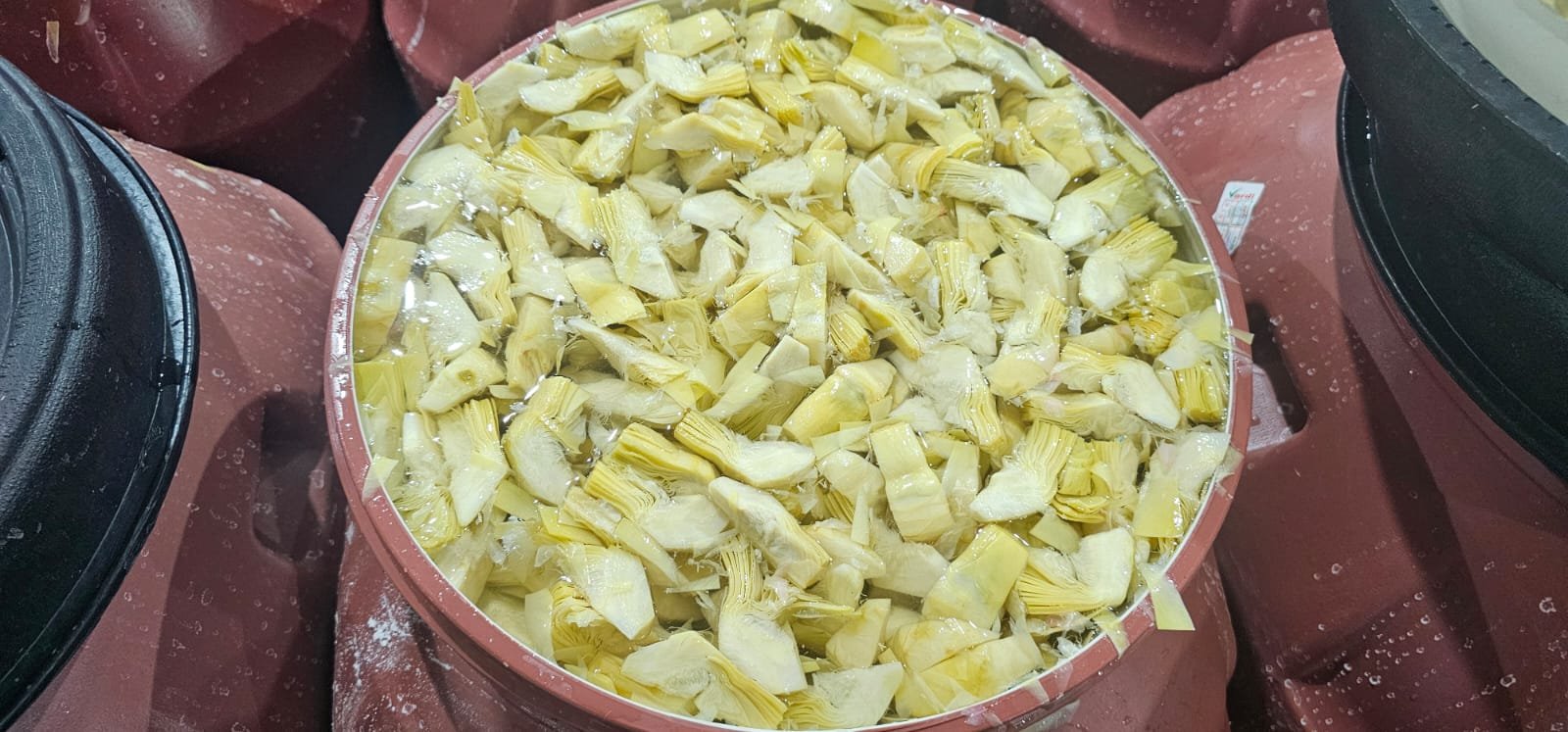 Artichoke Quarters in Brine