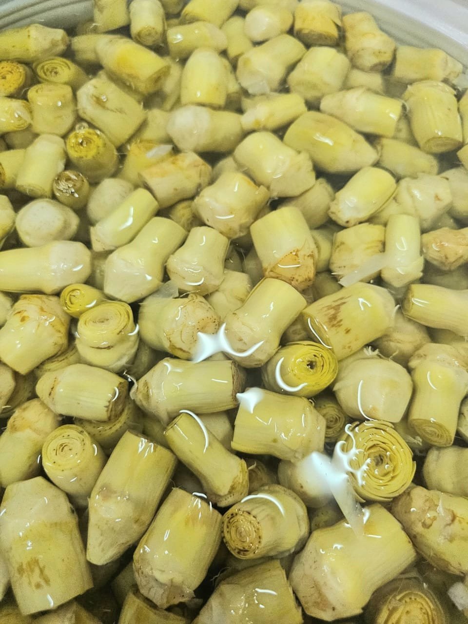 Whole Artichoke in Brine