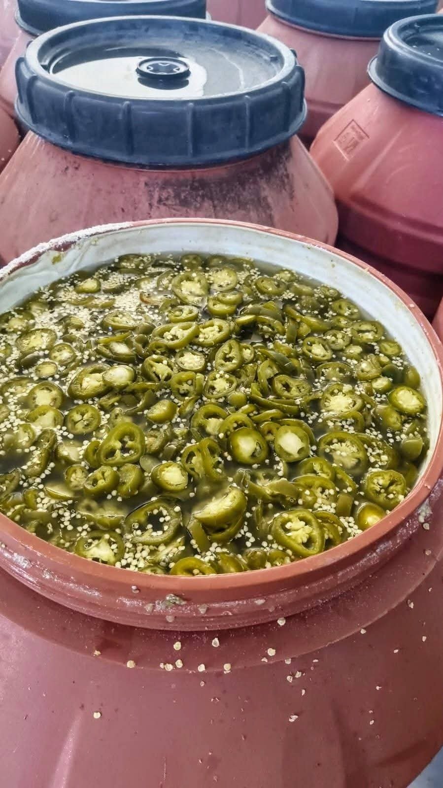 Jalapeño Peppers