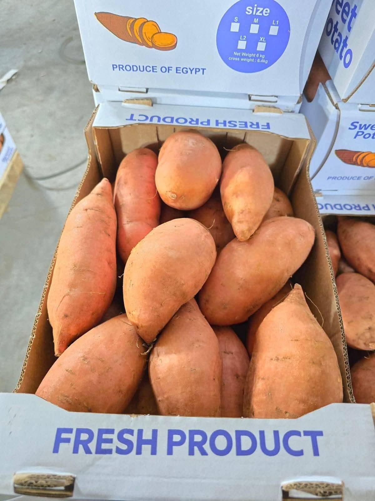 Fresh Sweet Potato
