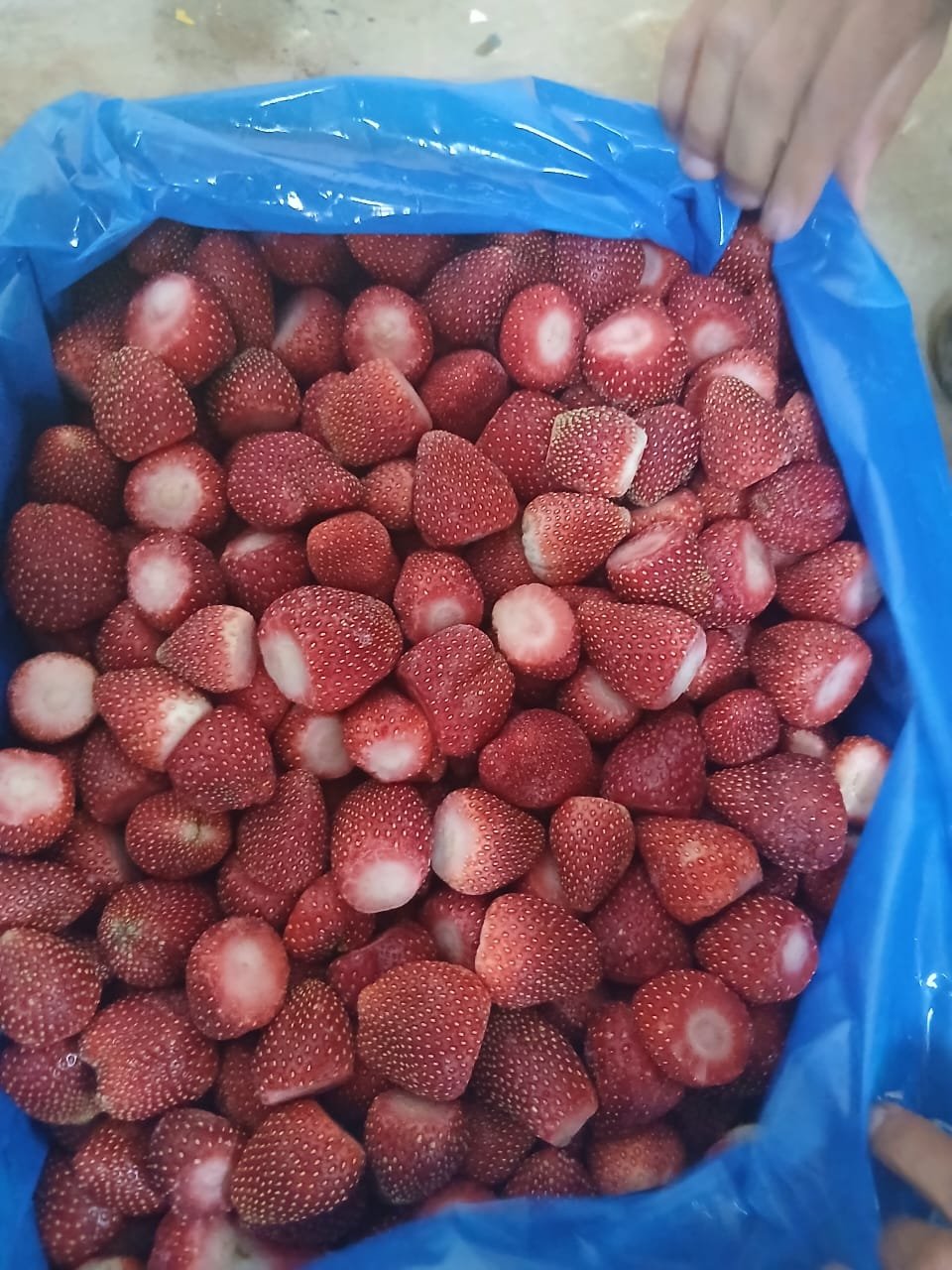 Frozen Strawberry