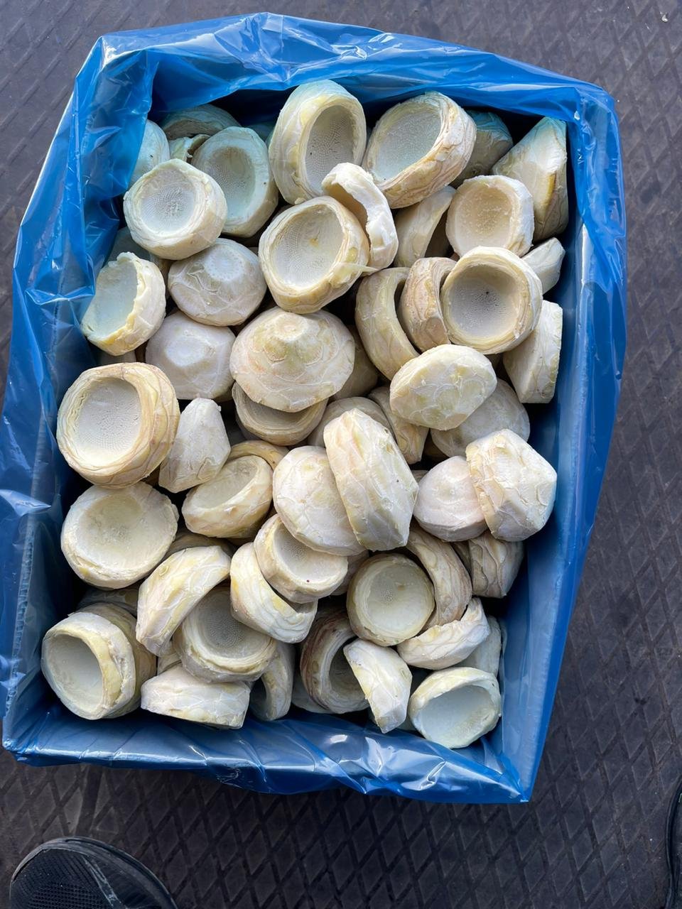 Frozen Artichoke Bottoms