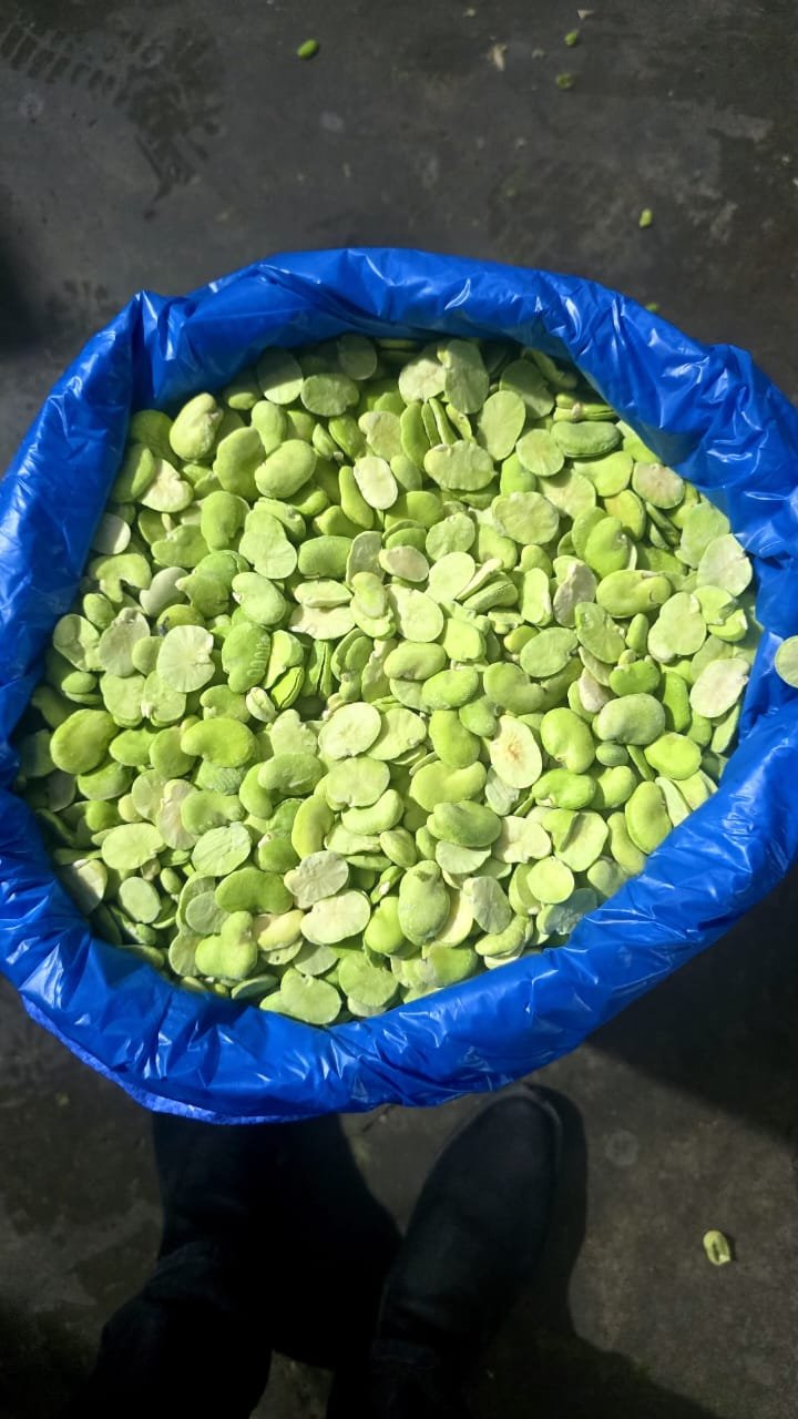 Frozen Fava Beans