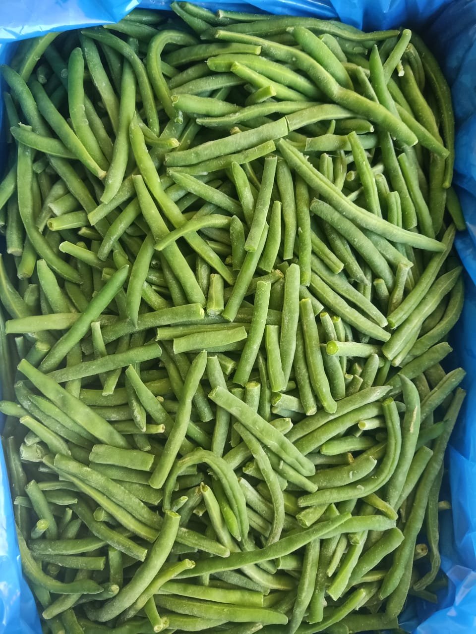 Frozen Green Beans