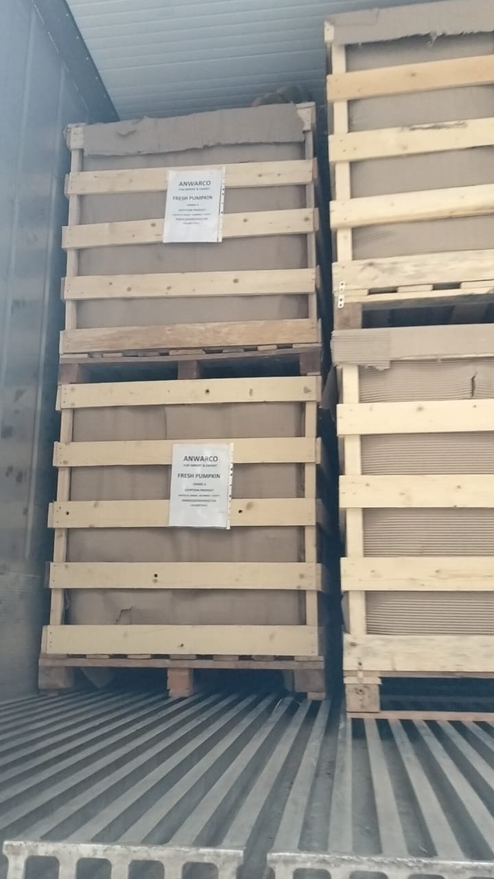 Shipping